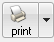 2. Print Icon